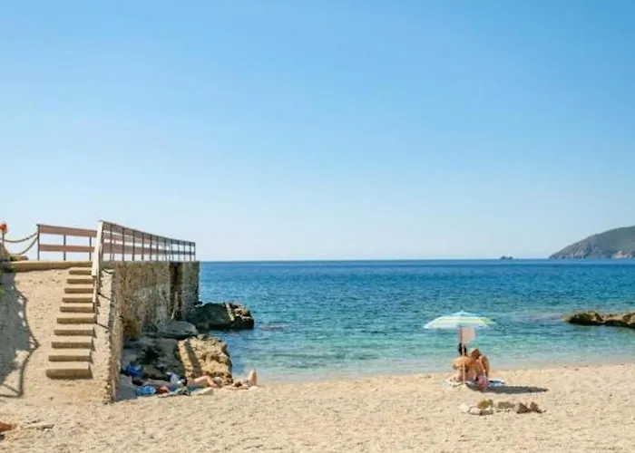 Galatea Stella Marina *